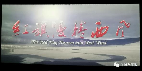 春节后生猪企业或延续亏损,农业农村部回应这些问题