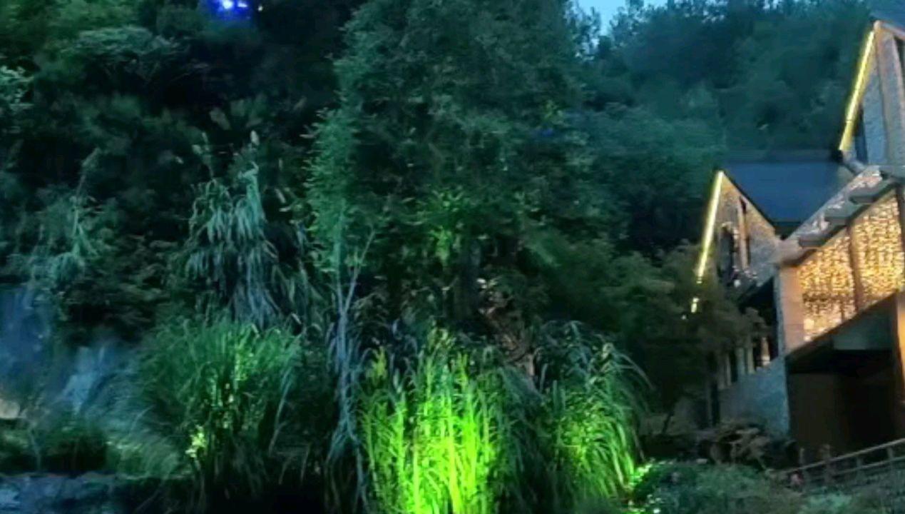 逗小猴开心系列178